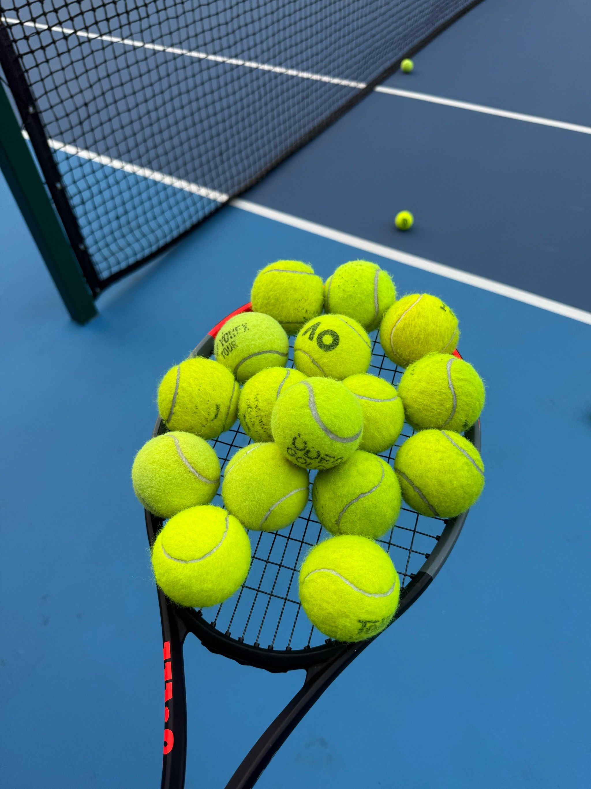 可在小红书 可在小红书